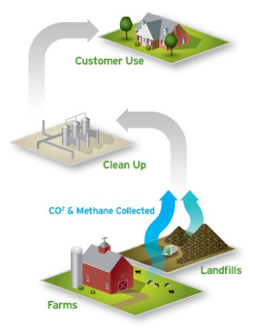 Diagram of the RNG process: CO2 and methane collected from Landfills and Farms, then is cleaned up by UGI, and delivered to customer home