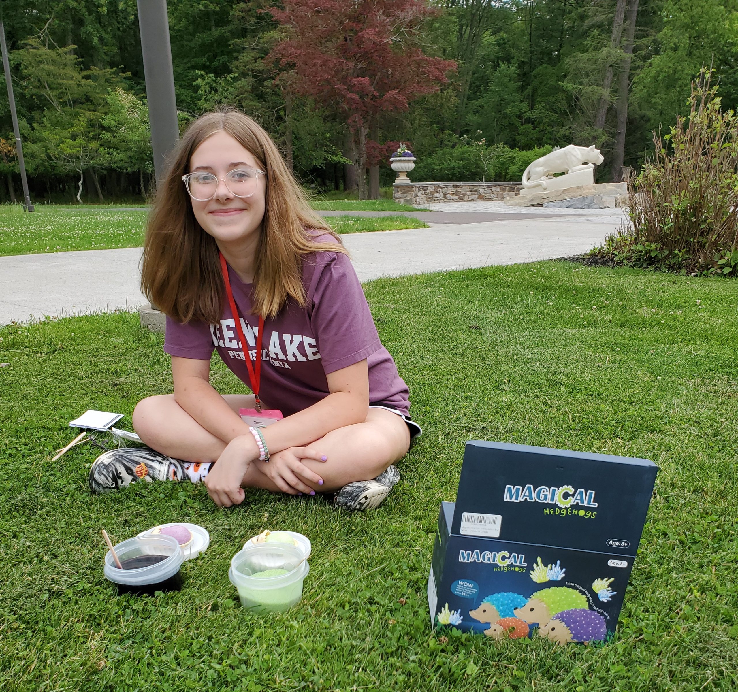Student at WISE camp creates a crystal hedgehog.