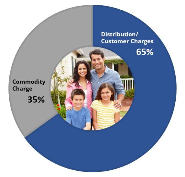 Pie Chart showing Commodity Charge is 35% and Distribution/Customer Charges is 65%