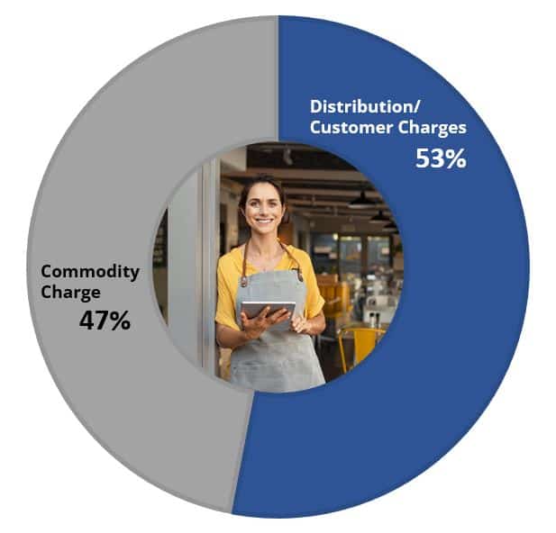 Pie Chart showing Commodity Charge is 47% and Distribution/Customer Charges is 53%