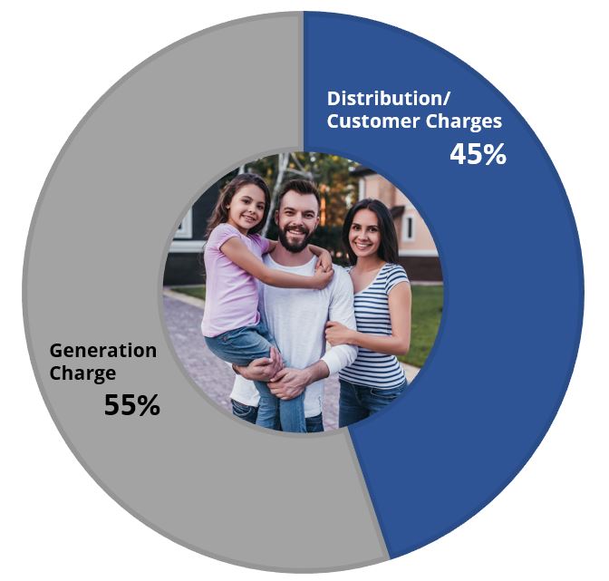 Pie Chart showing Generation Charge is 55% and Distribution/Customer Charges is 45%