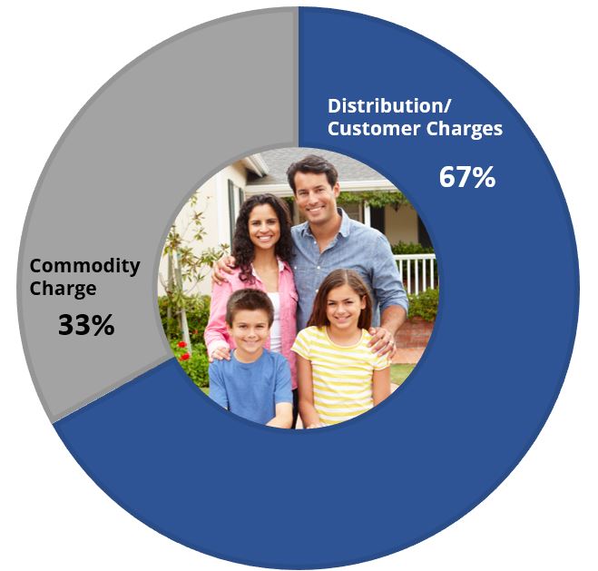 Pie Chart showing Commodity Charge is 33% and Distribution/Customer Charges is 67%