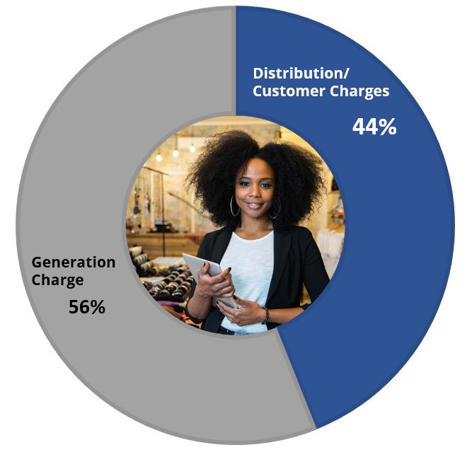 Pie Chart showing Generation Charge is 56% and Distribution/Customer Charges is 44%