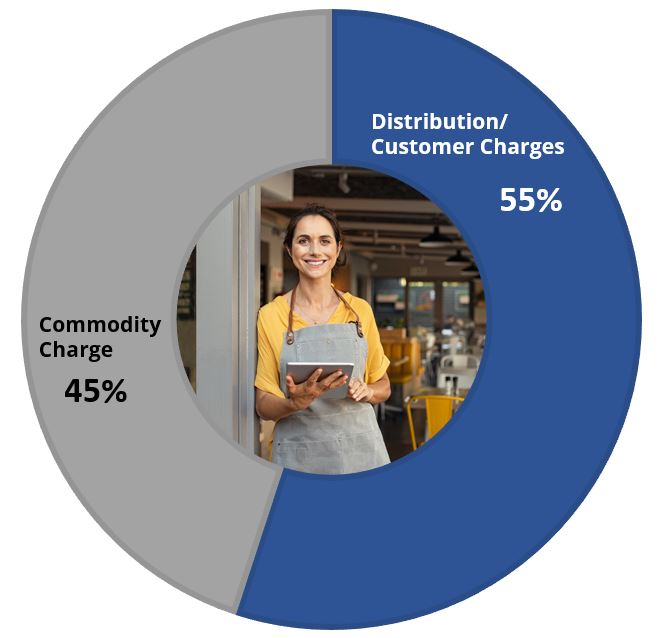 Pie Chart showing Commodity Charge is 45% and Distribution/Customer Charges is 55%