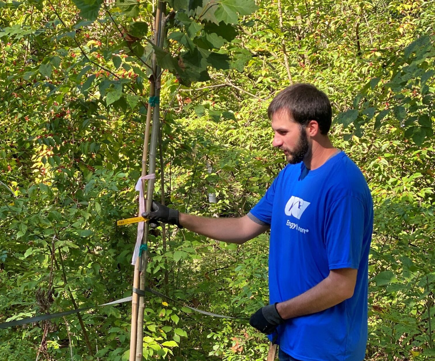 Jordan planting trees during a volunteering event