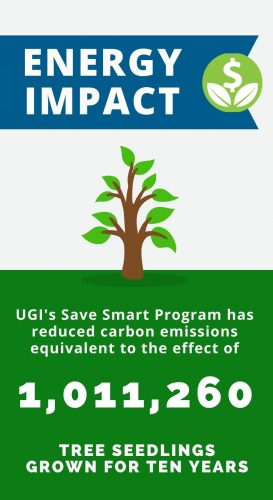 Tree Seedlings - November 2020