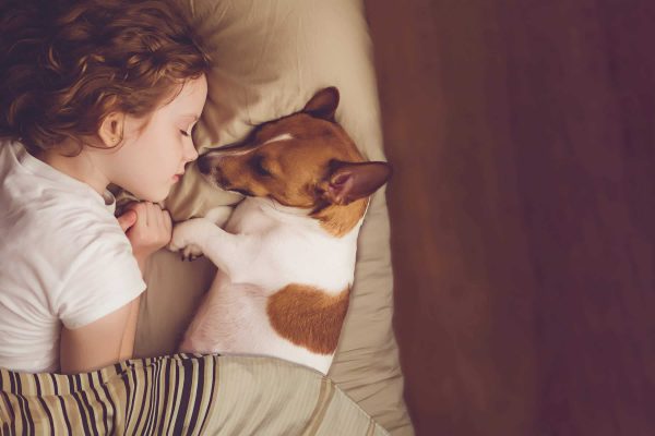 Little girl and dog sleeping